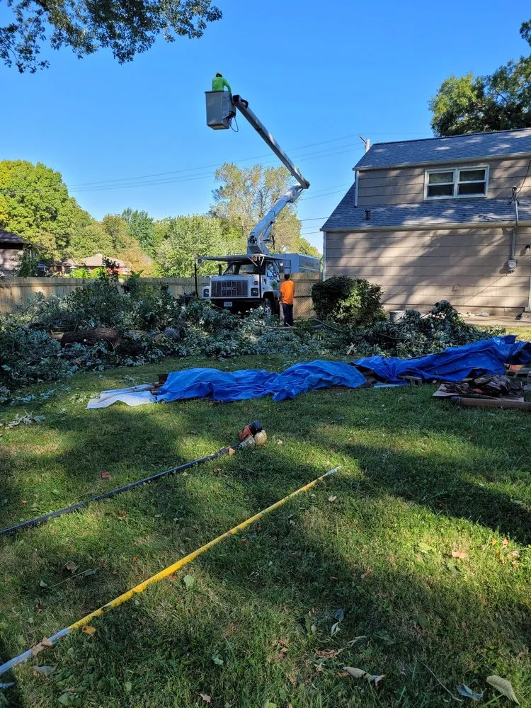 Affordable yard cleanup service in Sugar Creek, MO by Marvin Tree and Lawn Service