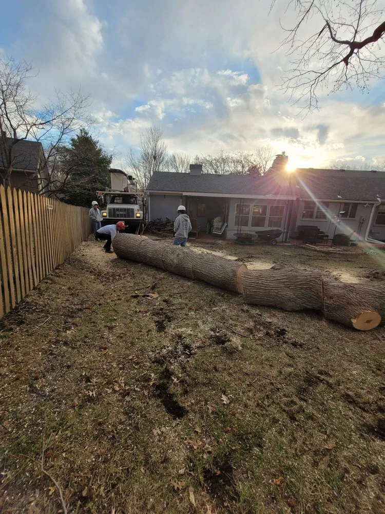Professional landscape installation in Sugar Creek, MO by Marvin Tree and Lawn Service