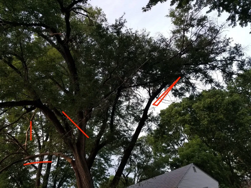 Expert residential landscaping in Sugar Creek, MO - Marvin Tree and Lawn Service