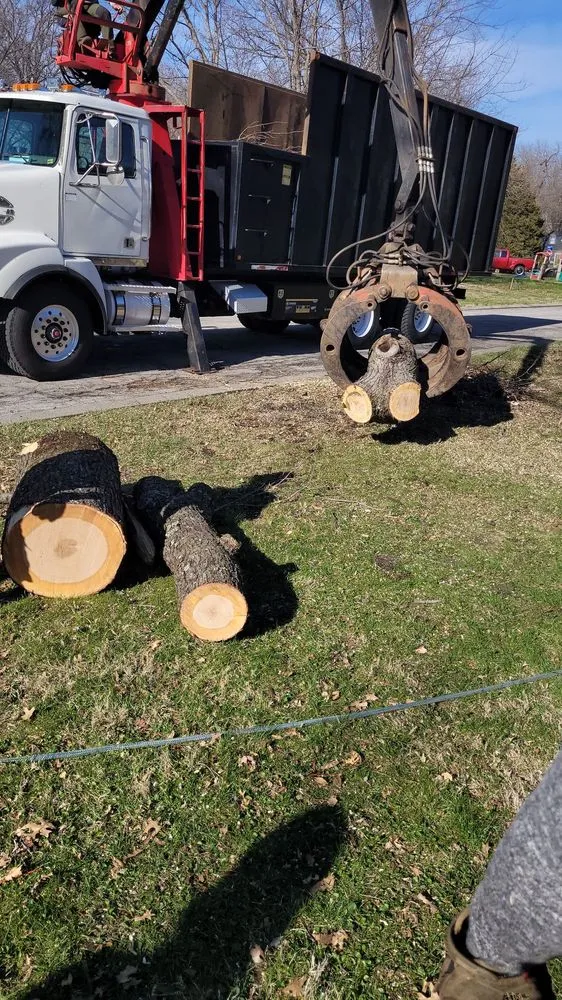 Professional landscaping services experts serving Sugar Creek, MO - Marvin Tree and Lawn Service