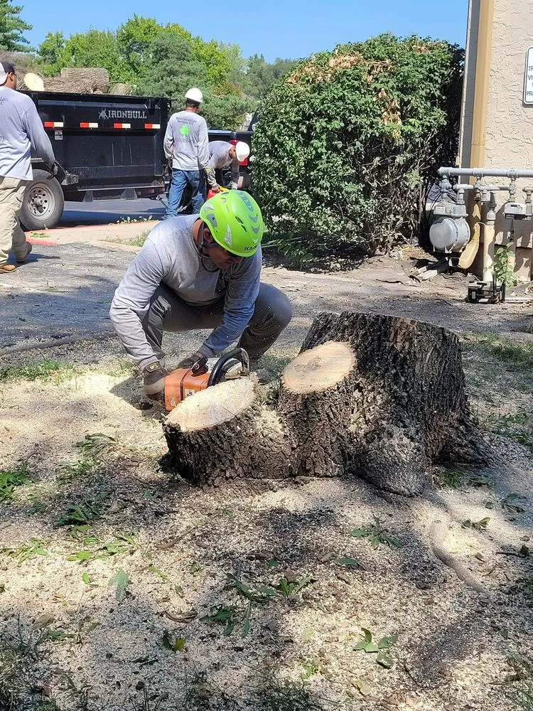 Custom landscaping services in Sugar Creek, MO by Marvin Tree and Lawn Service