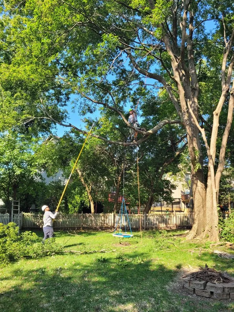 Reliable landscape design in Sugar Creek, MO by Marvin Tree and Lawn Service