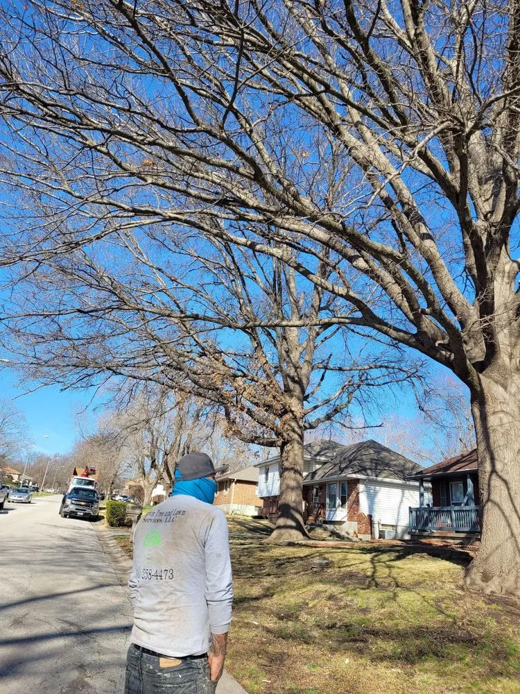 Reliable landscape design in Sugar Creek, MO - Marvin Tree and Lawn Service