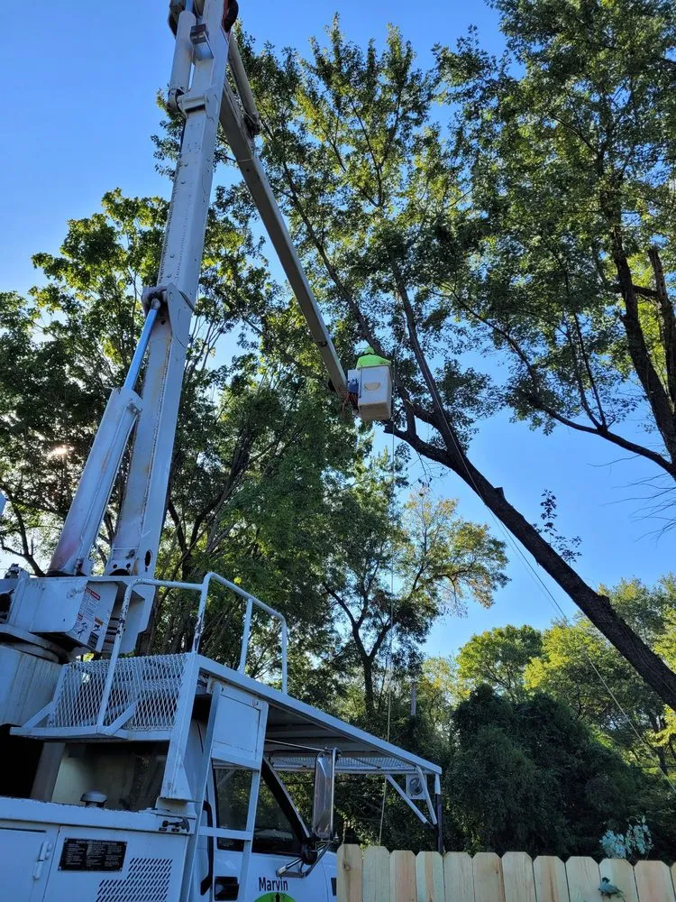 Custom landscape design in Sugar Creek, MO by Marvin Tree and Lawn Service