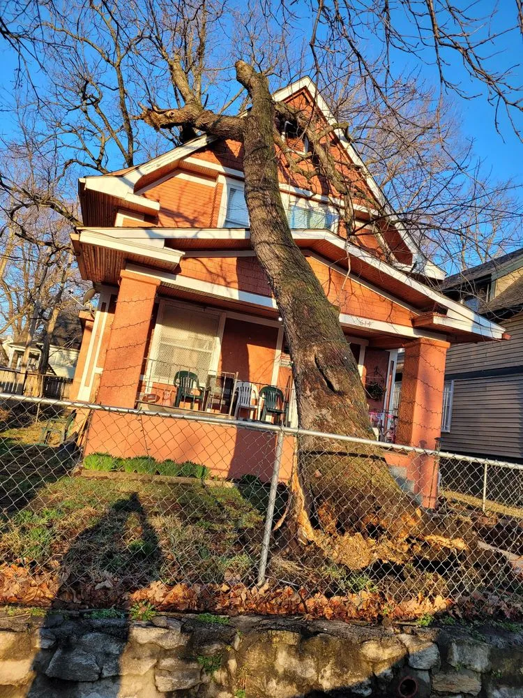 Trusted yard maintenance for year-round maintenance in Sugar Creek, MO by Marvin Tree and Lawn Service