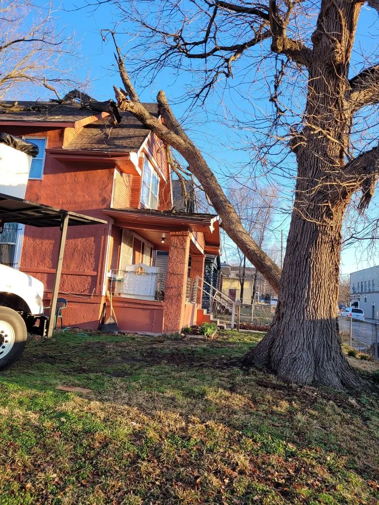 Expert yard maintenance in Sugar Creek, MO by Marvin Tree and Lawn Service