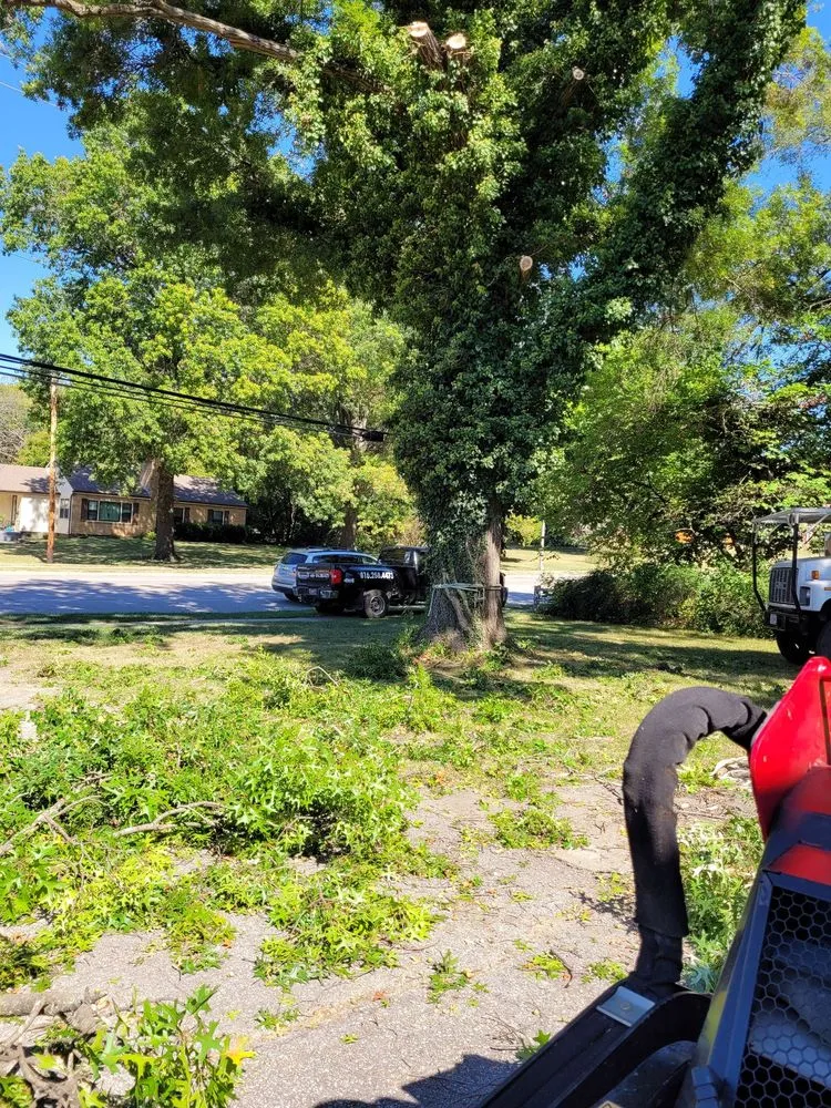 Top-rated yard cleanup service experts serving Sugar Creek, MO - Marvin Tree and Lawn Service
