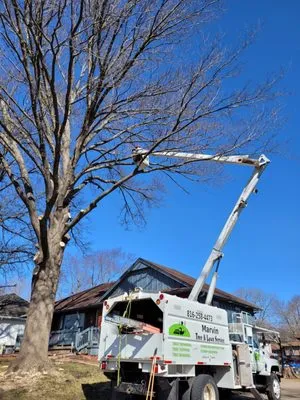 Marvin Tree and Lawn Service