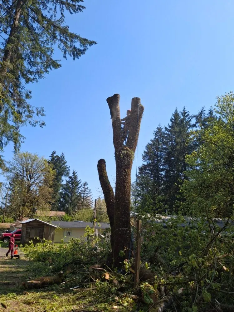 Local residential landscaping in Skokomish, WA by Marvinito Landscaping And Tree Service