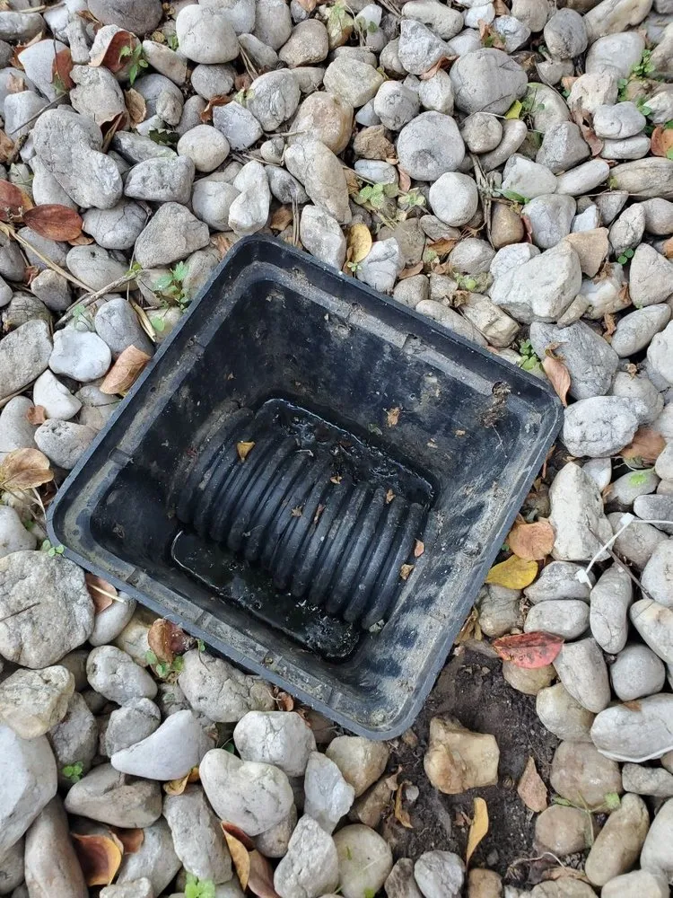 Professional residential landscaping in Laurel, MD by Marvin's Landscape