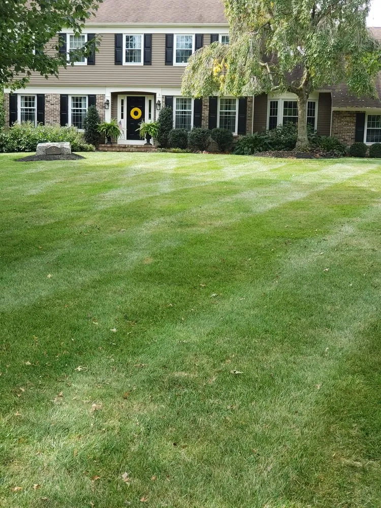 Affordable landscaping services for year-round maintenance in Trenton, NJ by Marvin's Landscaping
