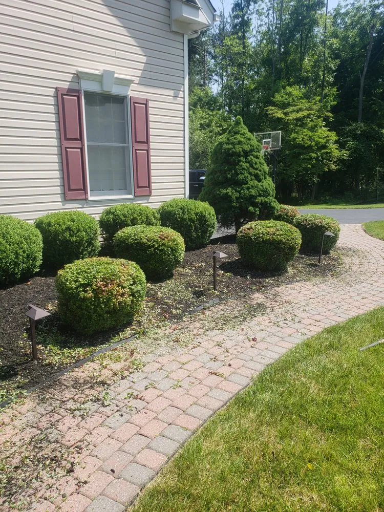 Top-rated garden landscaping for year-round maintenance in Trenton, NJ by Marvin's Landscaping