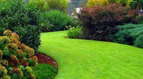 Professional landscape installation in Toledo, OH by Marvin’s Lawncare