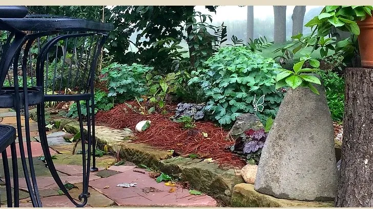 Trusted yard maintenance for homes in Lebanon, OH by Marvin's Organic Gardens