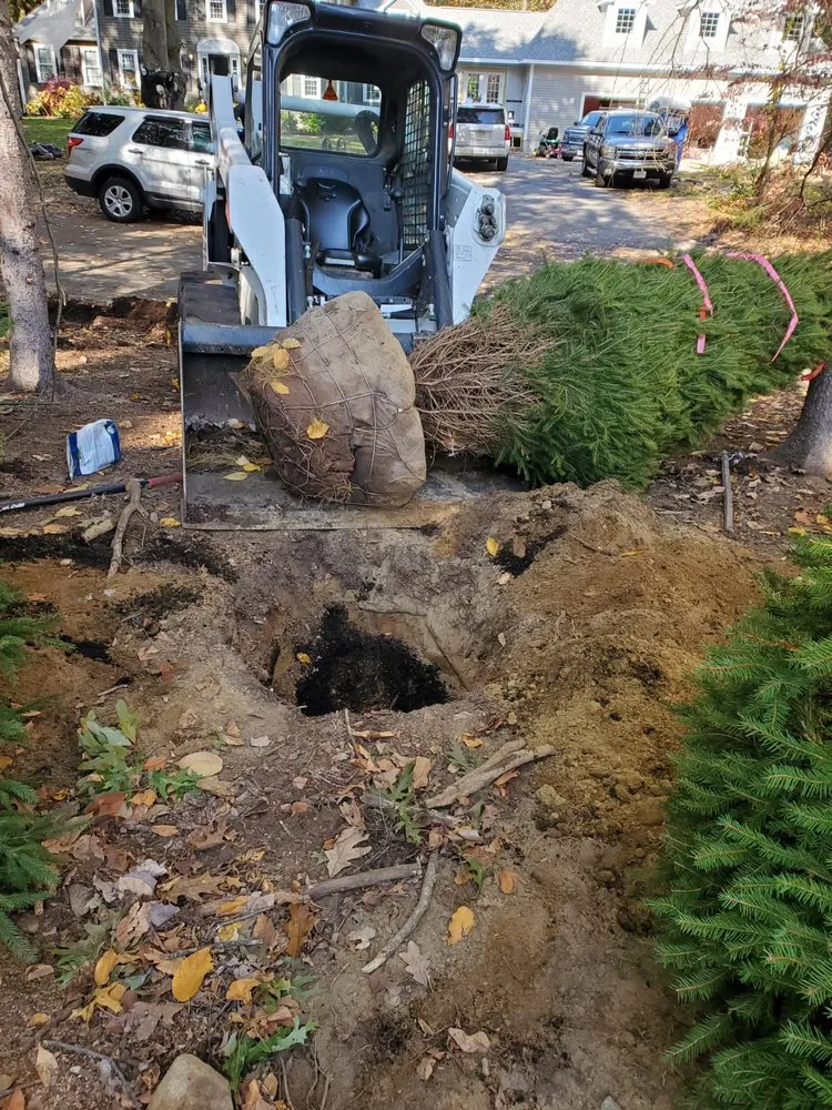 Local garden landscaping in Marlborough, MA - Marvin’s tree service & Landscape