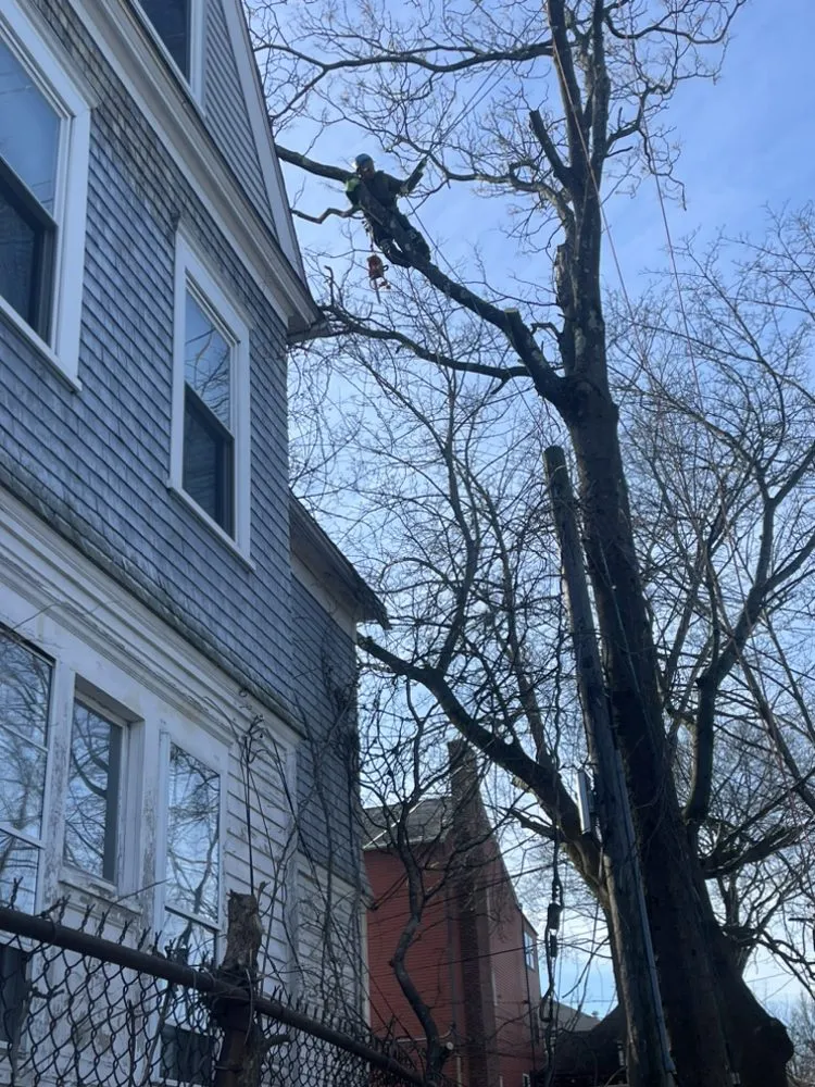 Local landscape installation experts serving Marlborough, MA - Marvin’s tree service & Landscape