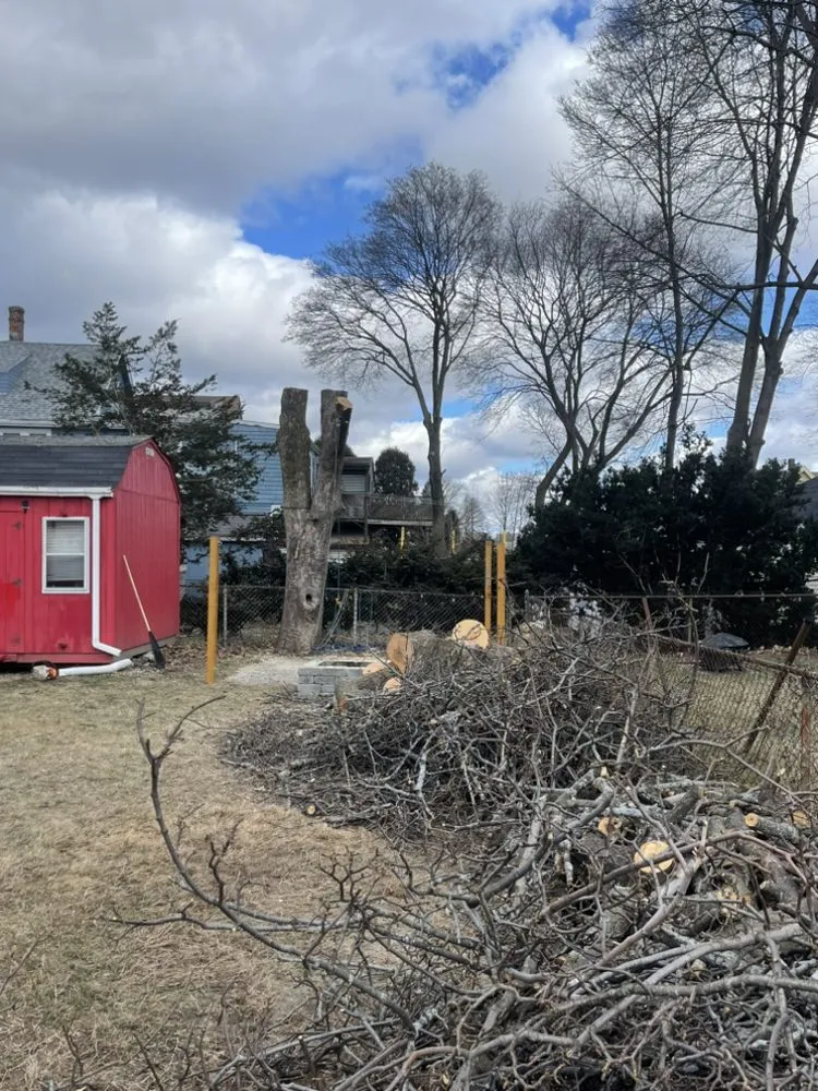 Top-rated landscape installation in Marlborough, MA by Marvin’s tree service & Landscape