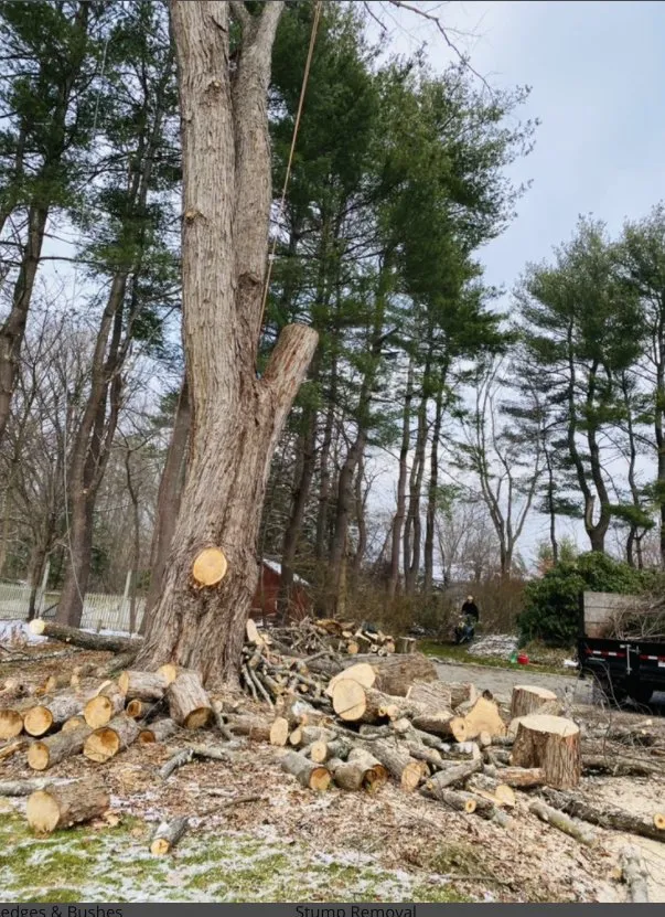 Custom landscape design for beautiful yards across Marlborough, MA - Marvin’s tree service & Landscape