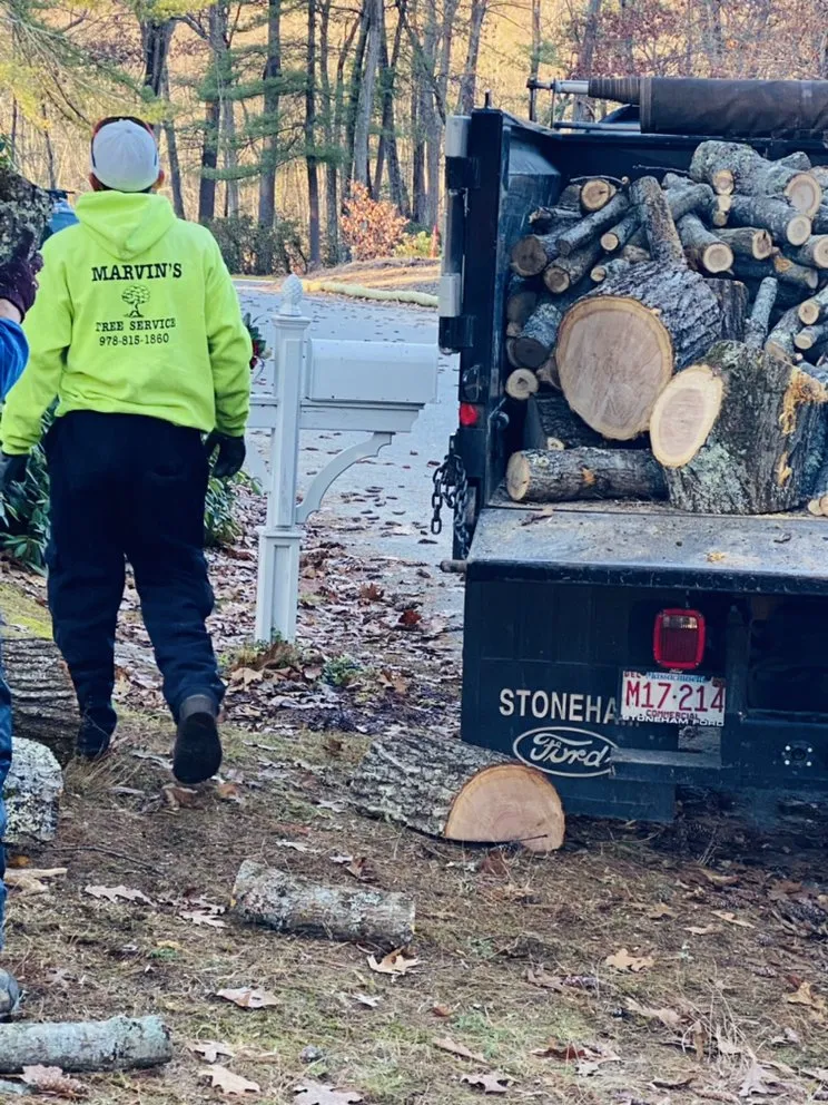 Expert outdoor landscaping experts serving Marlborough, MA - Marvin’s tree service & Landscape
