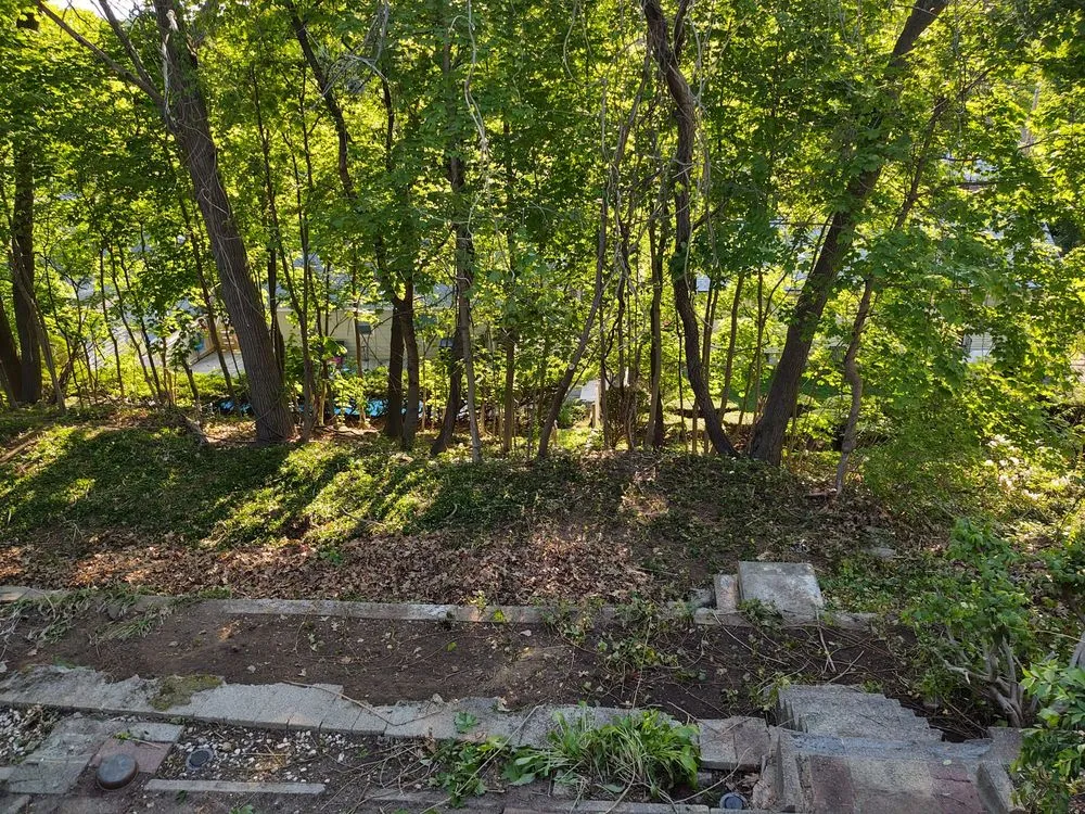 Custom lawn care service experts serving Marlborough, MA - Marvin’s tree service & Landscape