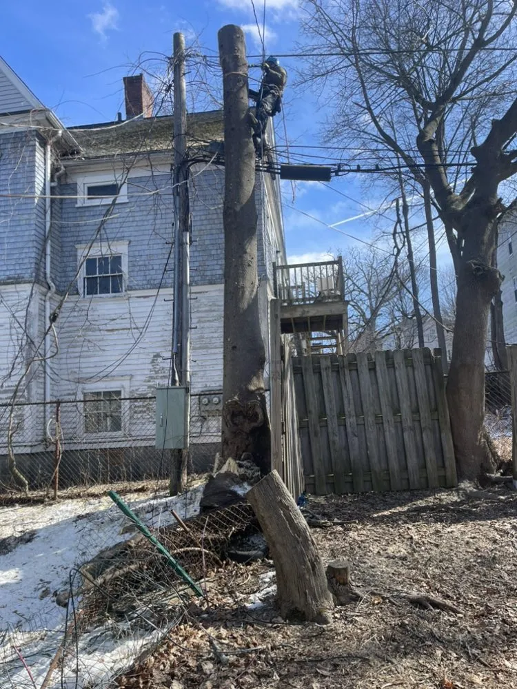 Reliable outdoor landscaping for residential properties in Marlborough, MA by Marvin’s tree service & Landscape