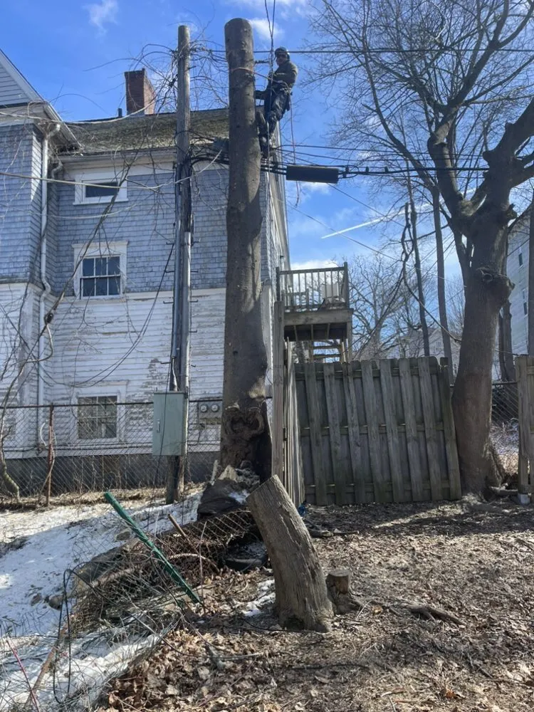 Expert outdoor landscaping experts serving Marlborough, MA - Marvin’s tree service & Landscape