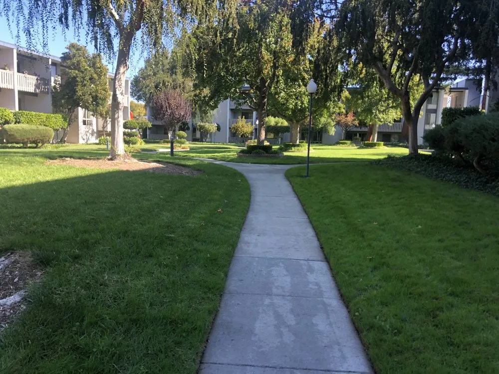 Trusted yard maintenance in Mountain View, CA - Marvy’s Landscape Services