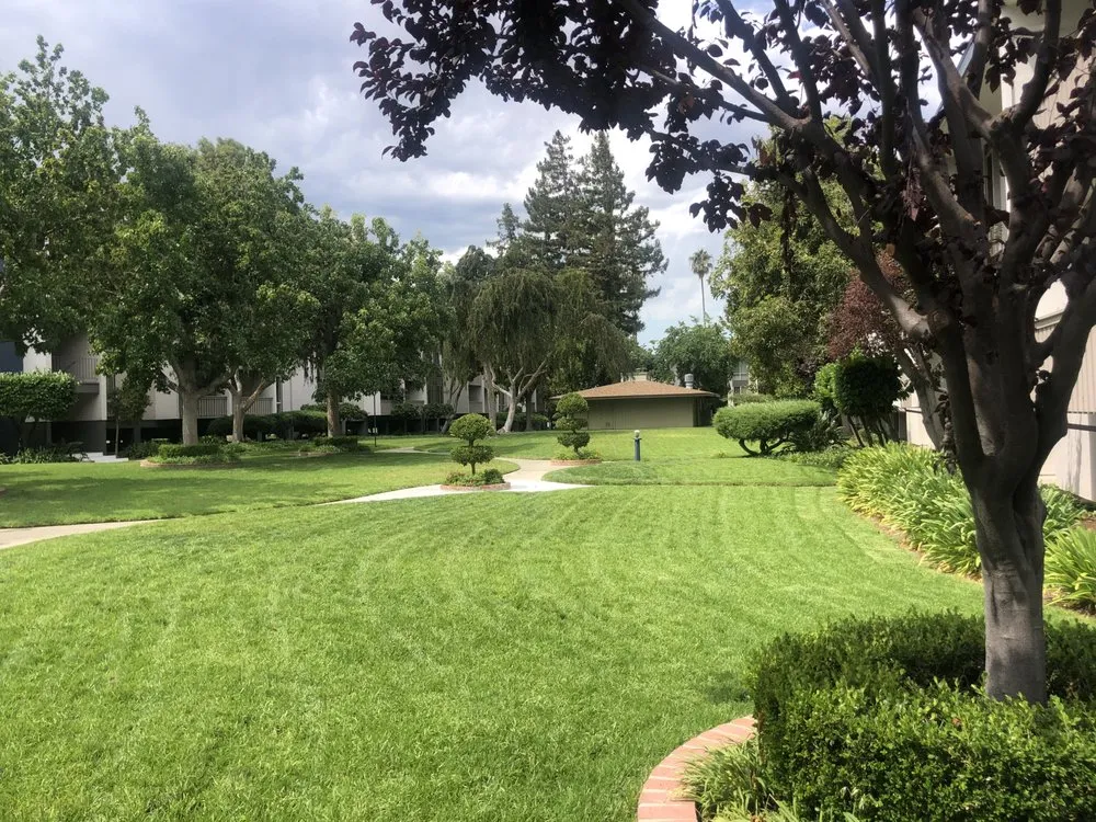 Reliable yard maintenance near you across Mountain View, CA - Marvy’s Landscape Services