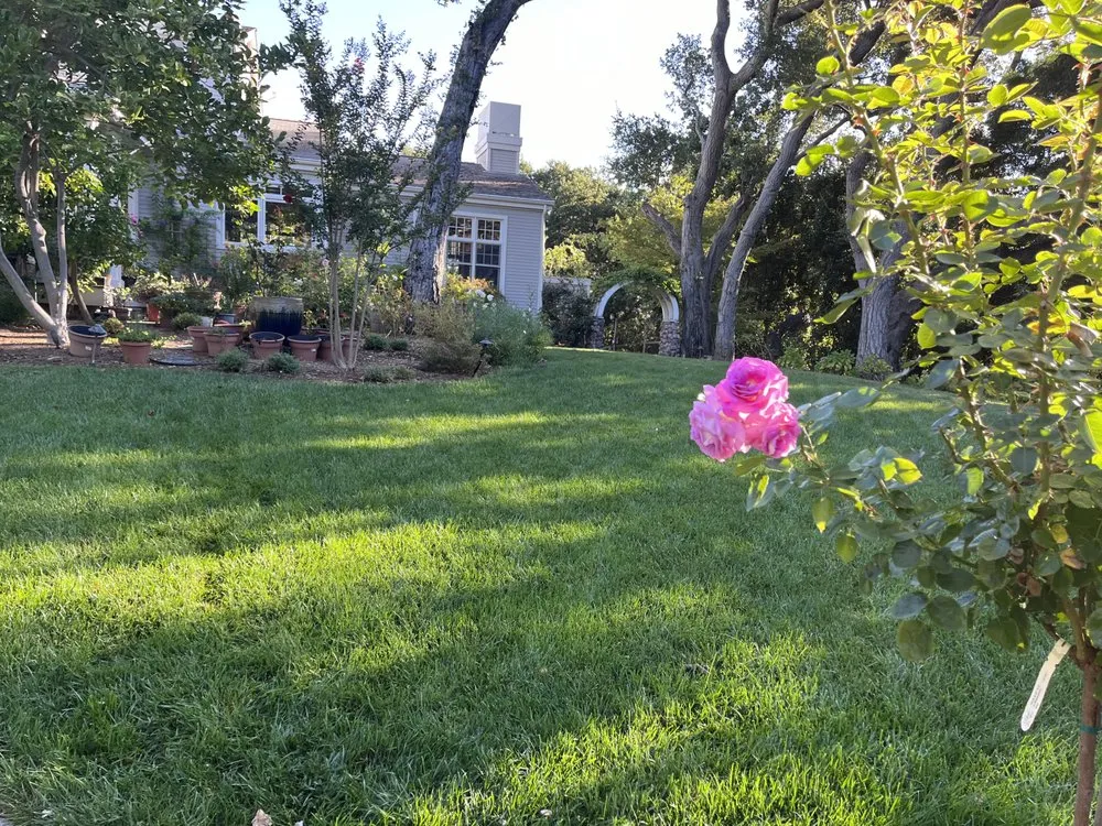 Trusted yard maintenance in Mountain View, CA - Marvy’s Landscape Services