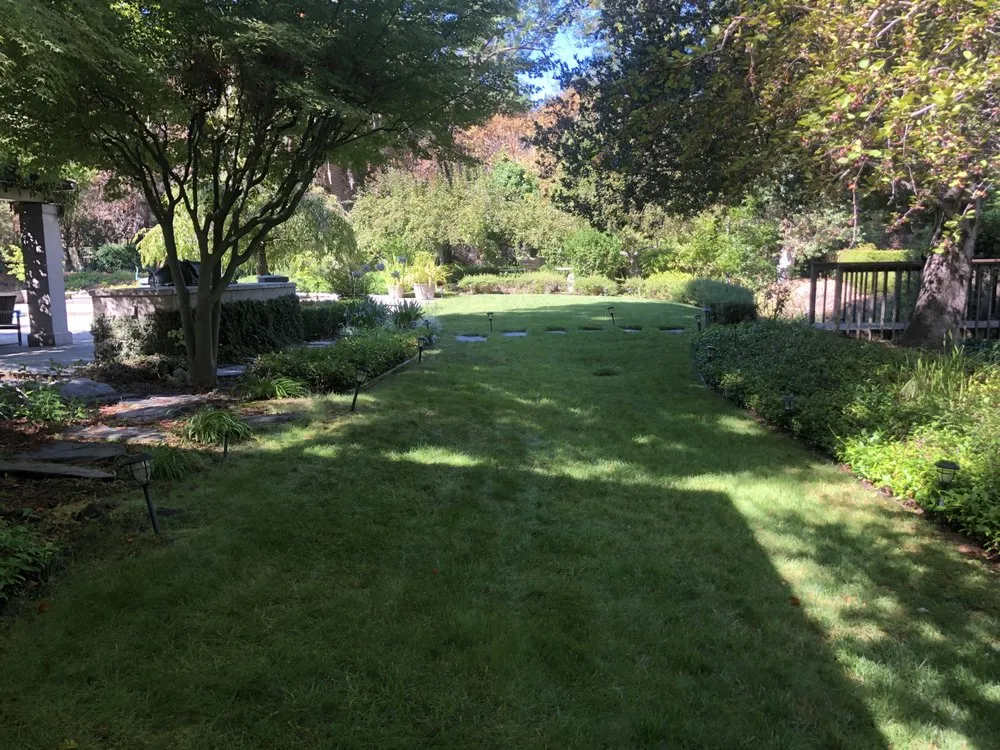 Reliable outdoor landscaping in Mountain View, CA - Marvy’s Landscape Services