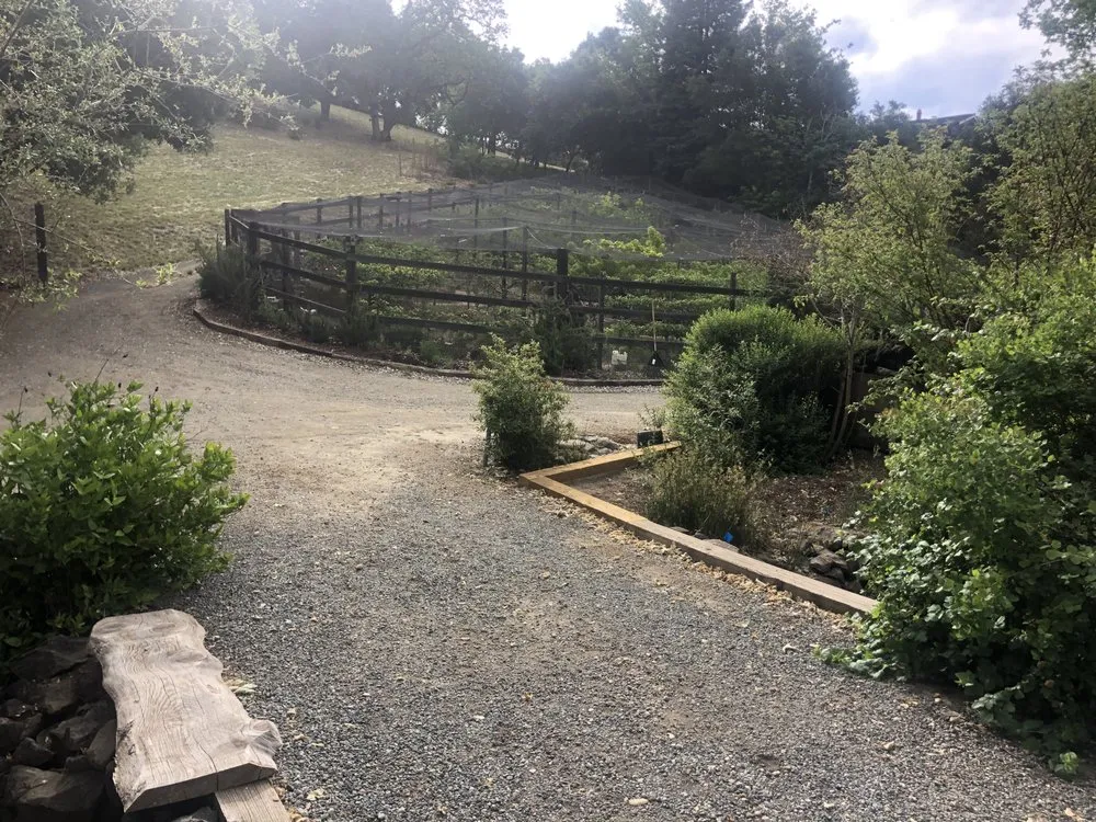 Custom landscape installation for outdoor upgrades across Mountain View, CA - Marvy’s Landscape Services