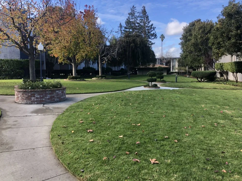 Custom garden landscaping for beautiful yards across Mountain View, CA - Marvy’s Landscape Services