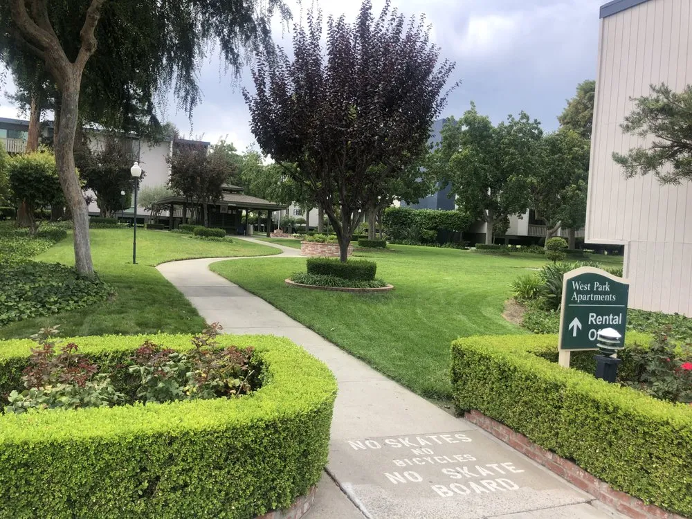 Professional residential landscaping in Mountain View, CA by Marvy’s Landscape Services