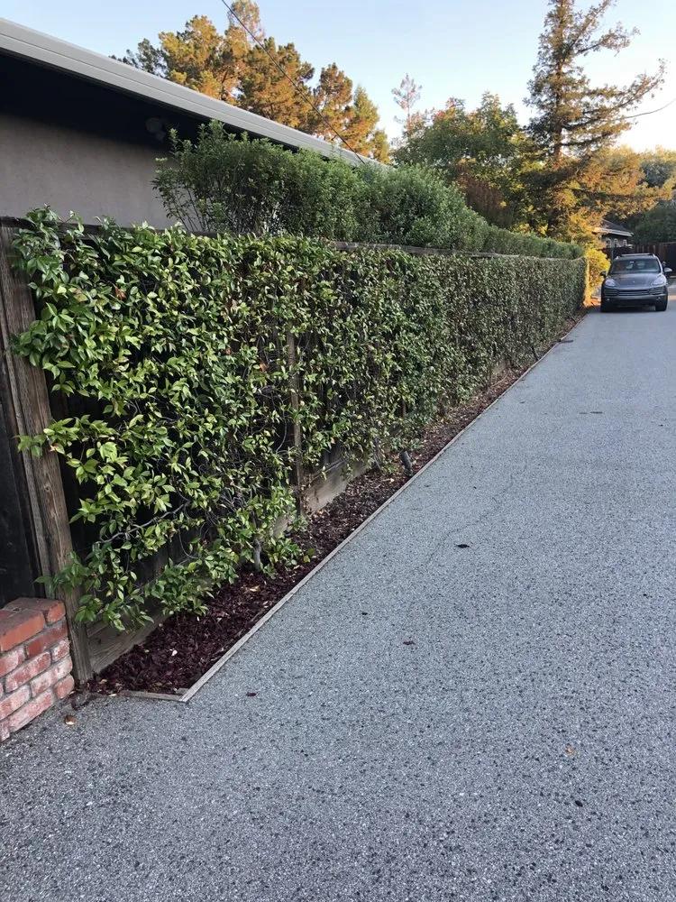 Reliable lawn care service in Mountain View, CA by Marvy’s Landscape Services