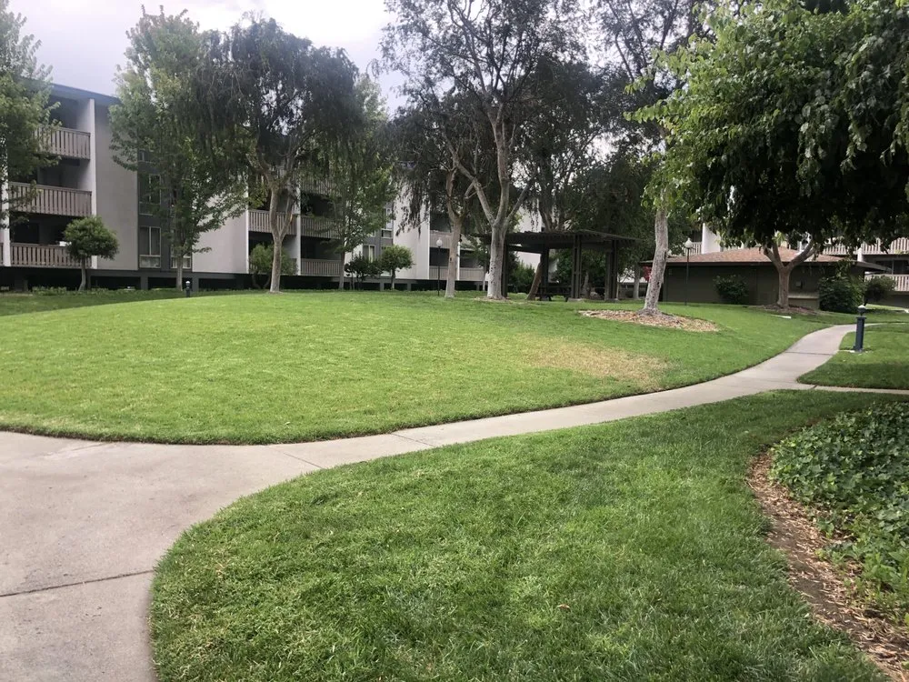 Affordable landscape installation experts serving Mountain View, CA - Marvy’s Landscape Services