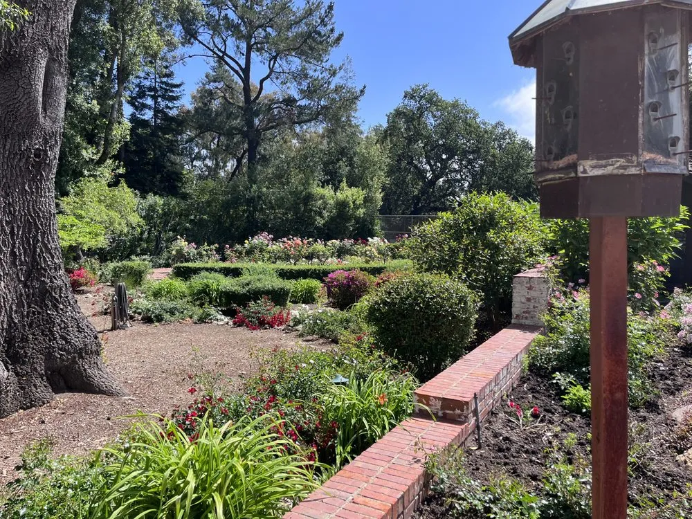 Trusted yard maintenance in Mountain View, CA by Marvy’s Landscape Services