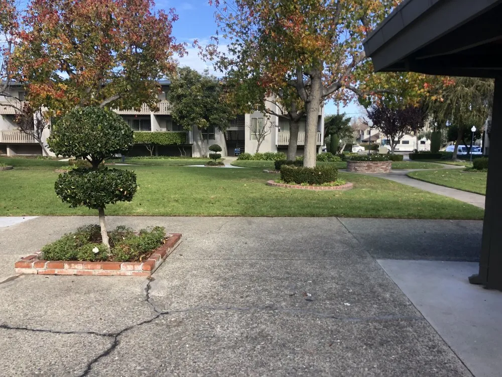 Top-rated garden landscaping in Mountain View, CA - Marvy’s Landscape Services