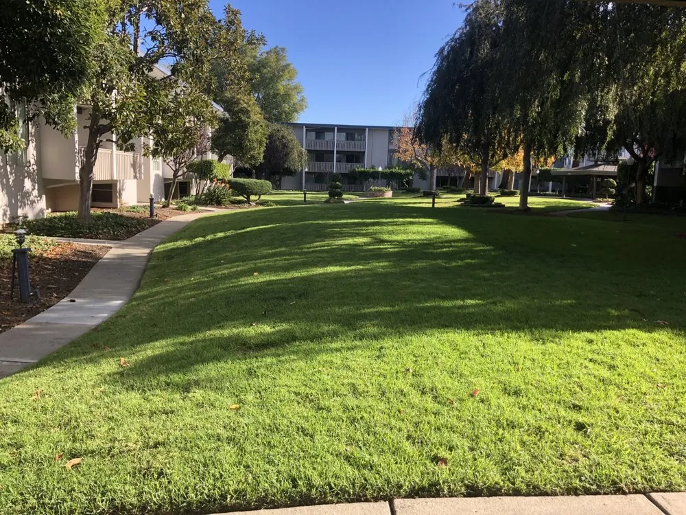 Affordable residential landscaping in Mountain View, CA - Marvy’s Landscape Services