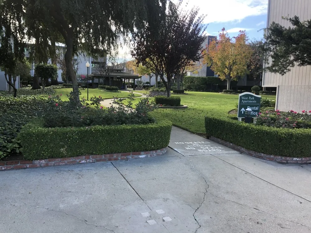 Professional yard cleanup service in Mountain View, CA - Marvy’s Landscape Services