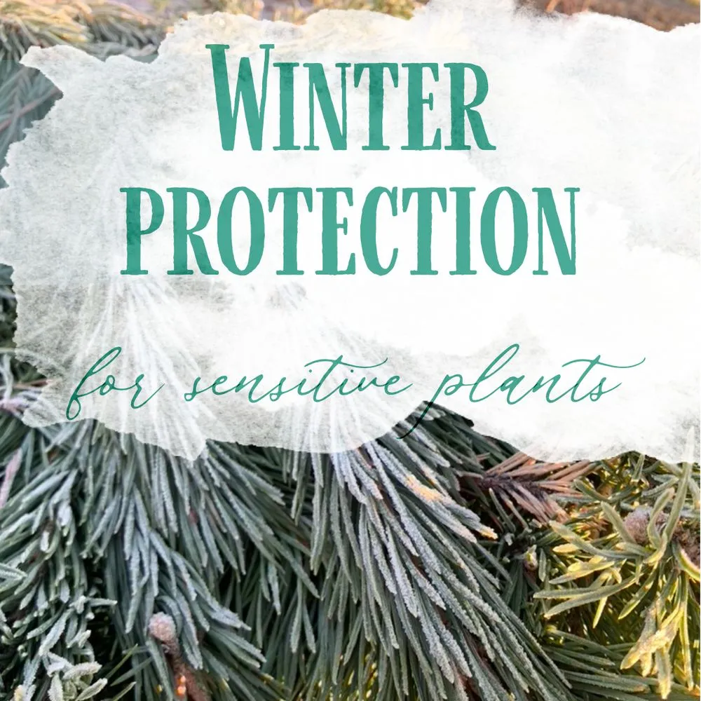 Trusted lawn mowing service for outdoor upgrades in Ypsilanti, MI by Mary Berry's Gardening