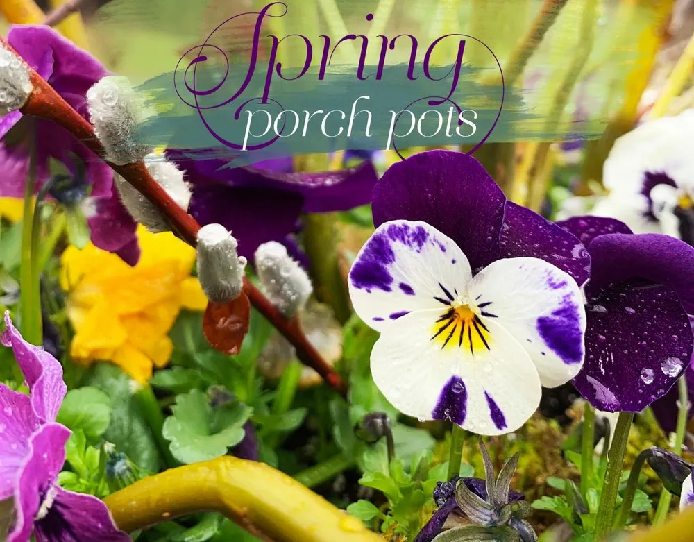 Local garden landscaping experts serving Ypsilanti, MI - Mary Berry's Gardening