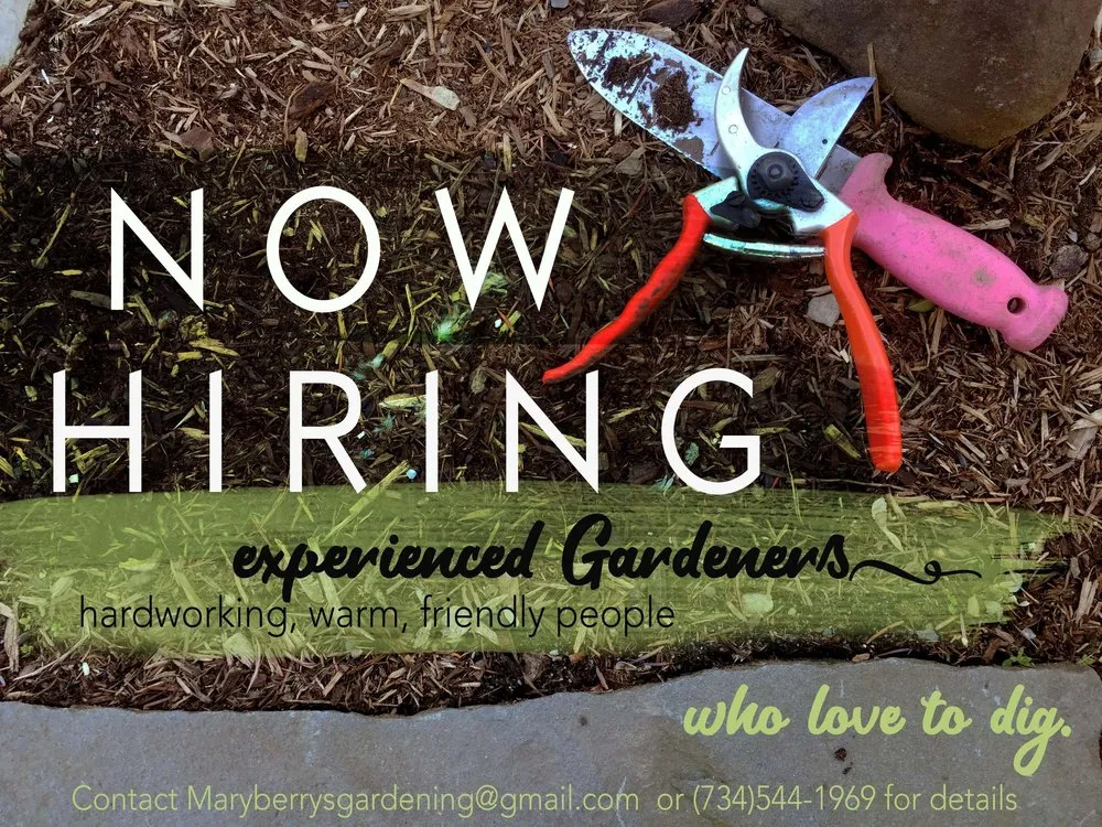 Affordable outdoor landscaping experts serving Ypsilanti, MI - Mary Berry's Gardening