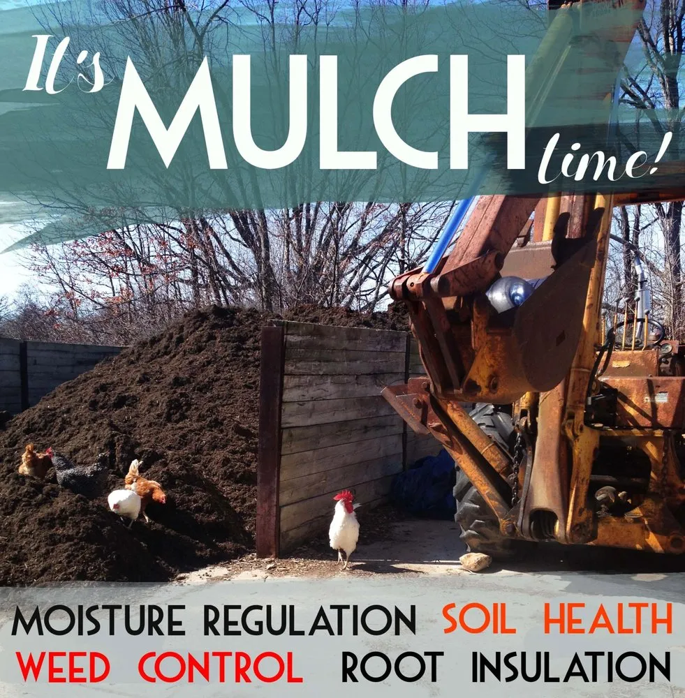 Top-rated residential landscaping near you in Ypsilanti, MI by Mary Berry's Gardening