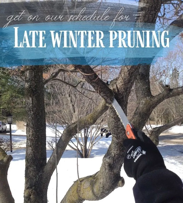 Affordable garden landscaping experts serving Ypsilanti, MI - Mary Berry's Gardening