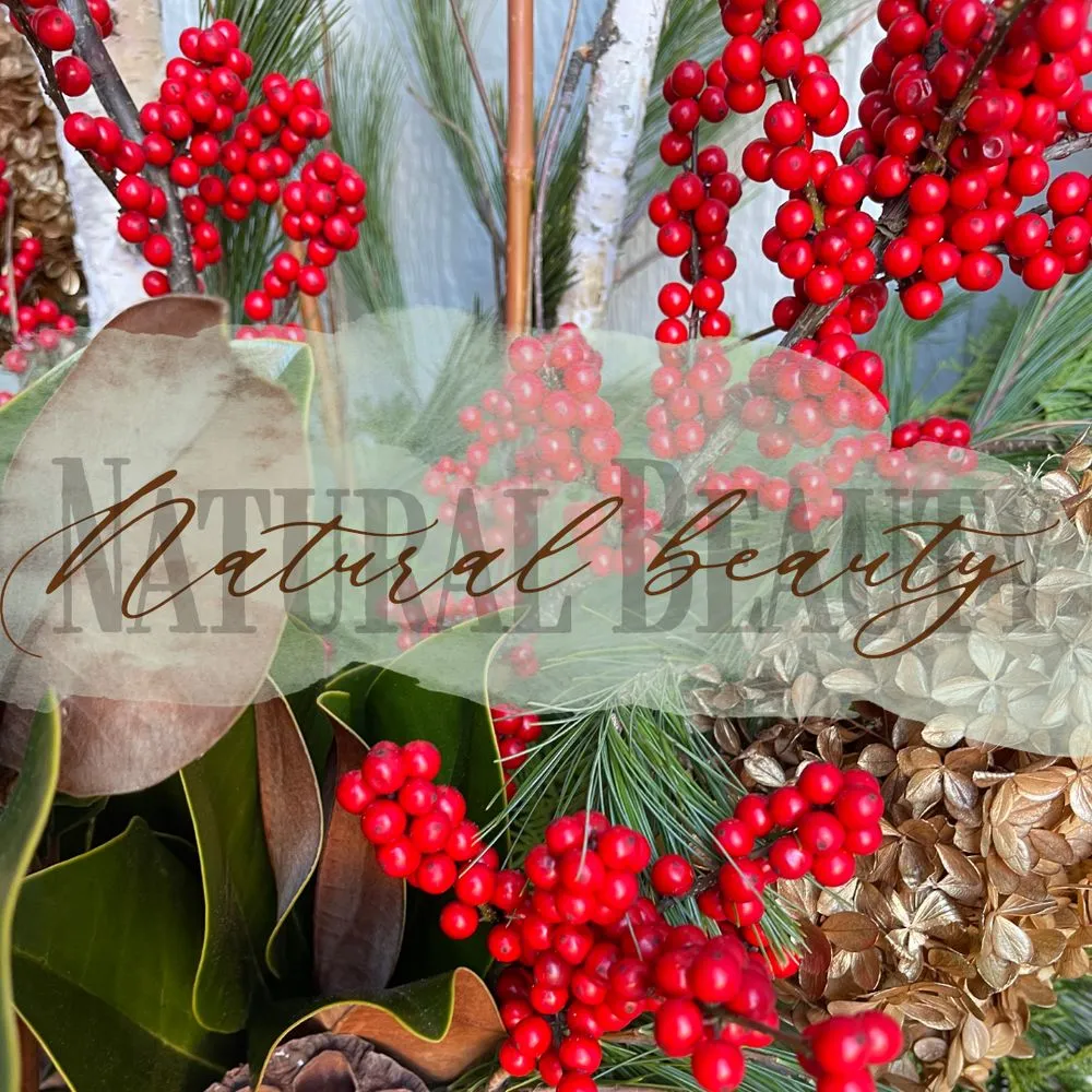 Local outdoor landscaping experts serving Ypsilanti, MI - Mary Berry's Gardening