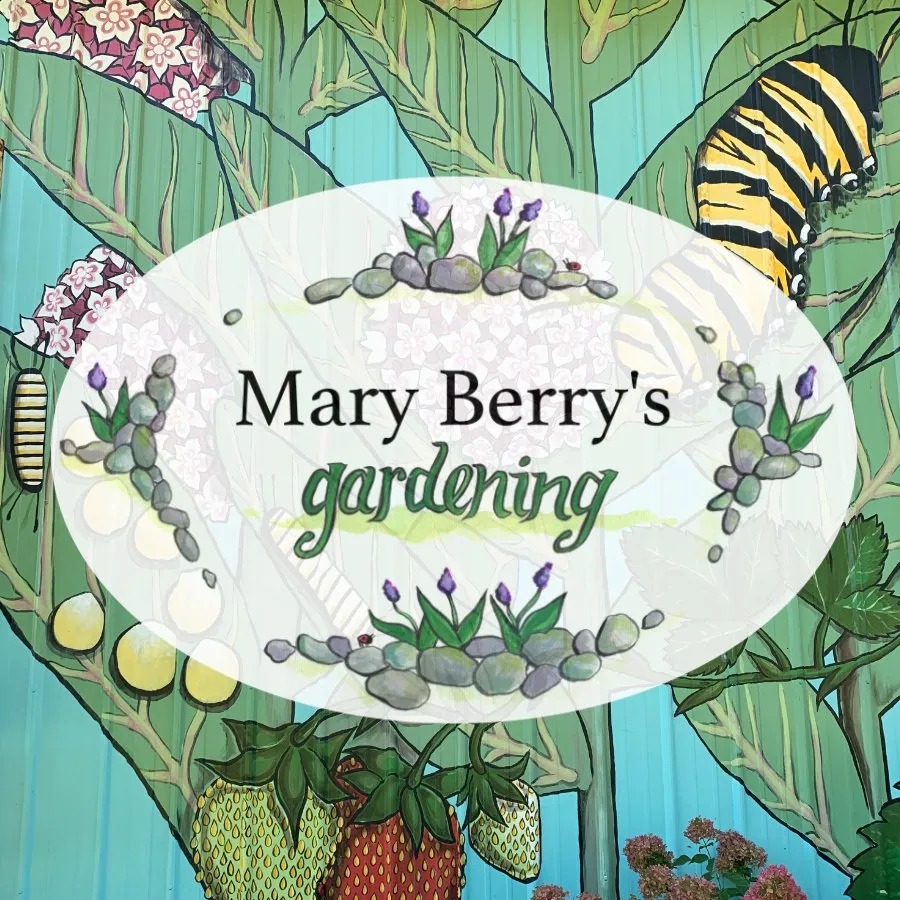 Expert garden landscaping with custom design across Ypsilanti, MI - Mary Berry's Gardening