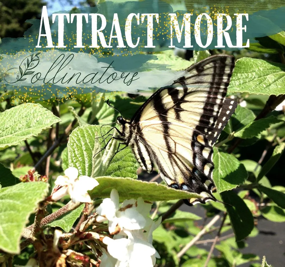 Professional landscape installation experts serving Ypsilanti, MI - Mary Berry's Gardening