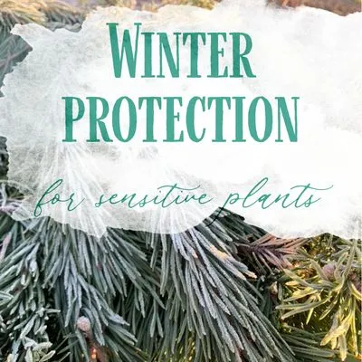 Mary Berry's Gardening