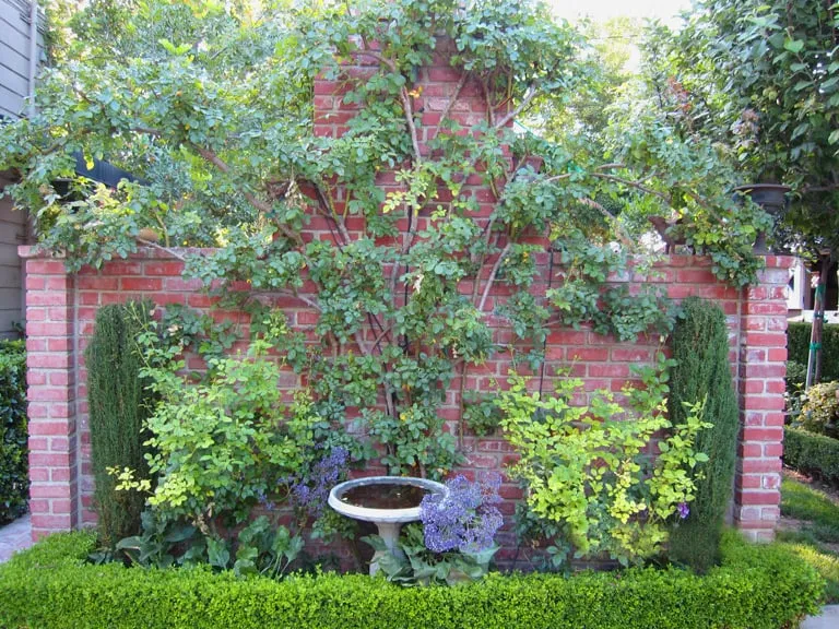 Professional residential landscaping experts serving Glendale, CA - Mary Cardea Landscaping