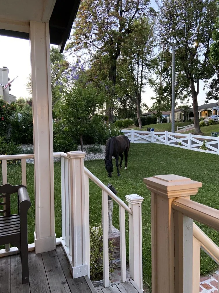 Custom landscape installation experts serving Glendale, CA - Mary Cardea Landscaping